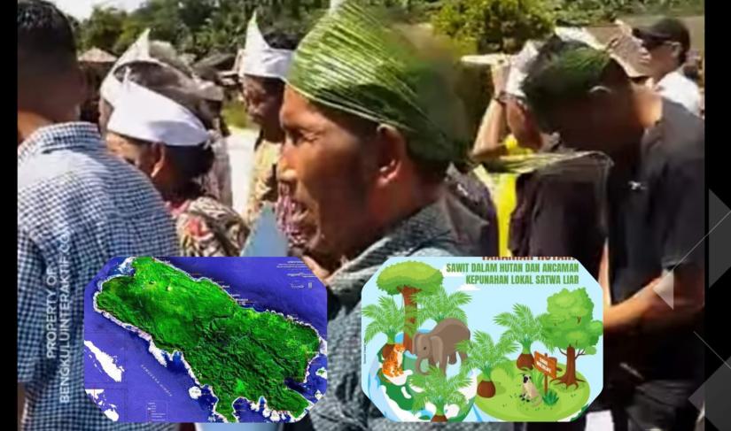 Masyarakat Enggano Tolak Penanaman Sawit
