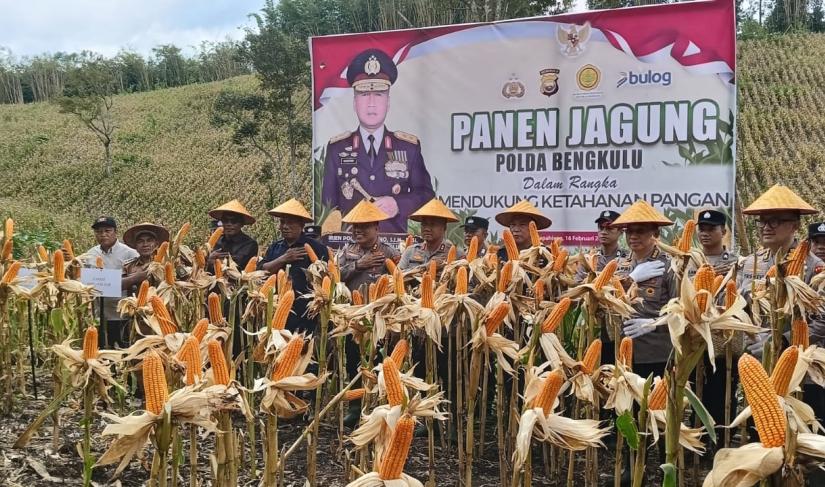 Polda Bengkulu melaksanakan panen raya jagung seluas 5 ha di area perkebunan di Desa Limbur Lama Kecamatan Bermani Ilir Kabupaten Kepahiang Provinsi Bengkulu, Kegiatan panen jagung dilaksanakan, pada Senin sekira pukul 11.00 wib (16/2/2026).