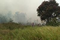Peristiwa kebakaran hutan dan lahan (Karhutla) terjadi di lahan Kelurahan Rimbo Pengadang Kecamatan Rimbo Pengadang Kabupaten Lebong, Minggu (17/9/2023) siang, sekira pukul 12.15 WIB.