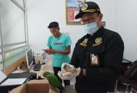 Badan Karantina Hewan Ikan dan Tumbuhan Bengkulu menggagalkan penyelundupan spesies burung dilindungi, beberapa waktu lalu. (Foto: Kelvin Aldo/Penarafflesia.com).