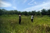 Bhabinkamtibmas Sinar Mulya dan ketua BPD Sinar Mulya melakukan pemantauan lokasi  lahan jagung di lahan Desa Sinar Mulya