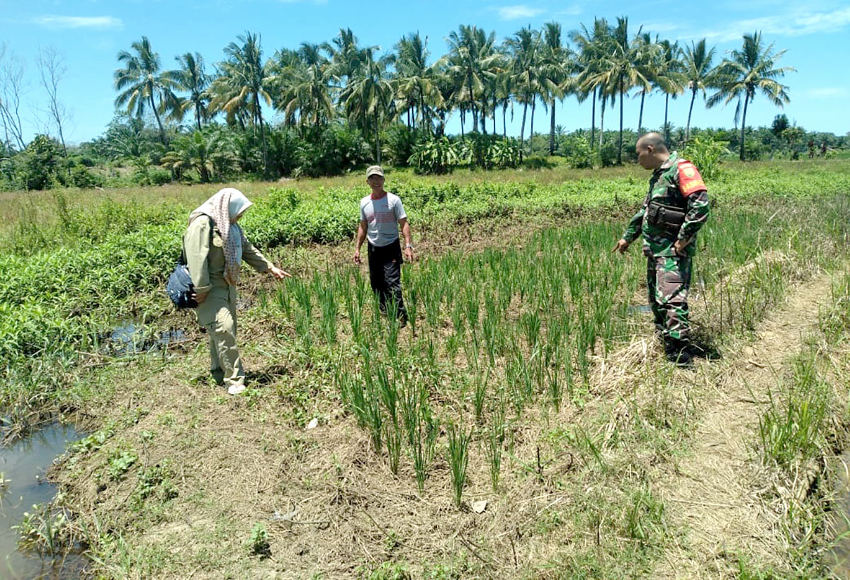 Ketua Komisi III DPRD Provinsi Bengkulu, Tantawi Dali 