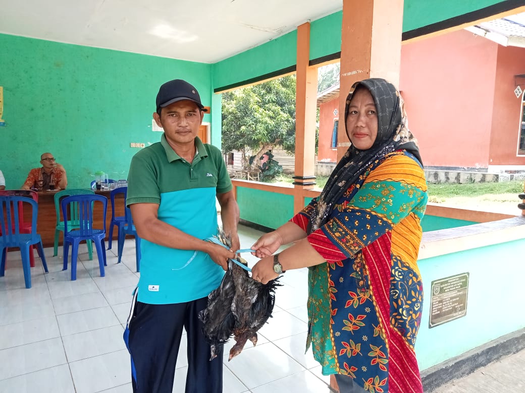 Pembagian bibit ayam demi kemajuan ketahanan pangan warga desa pasar palik
