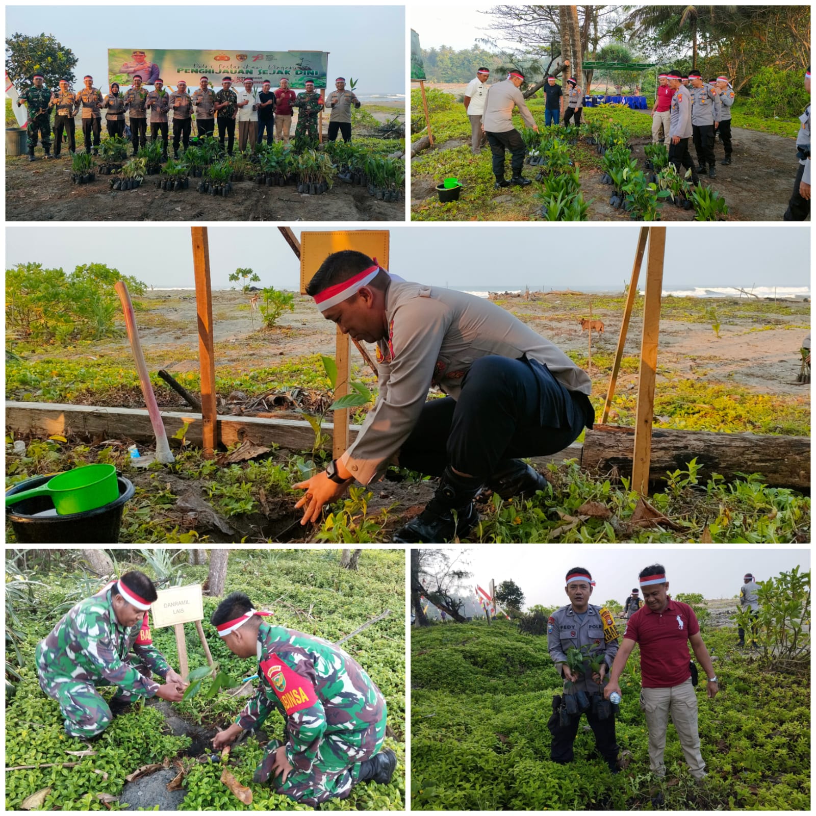 Giat penanaman di lokasi