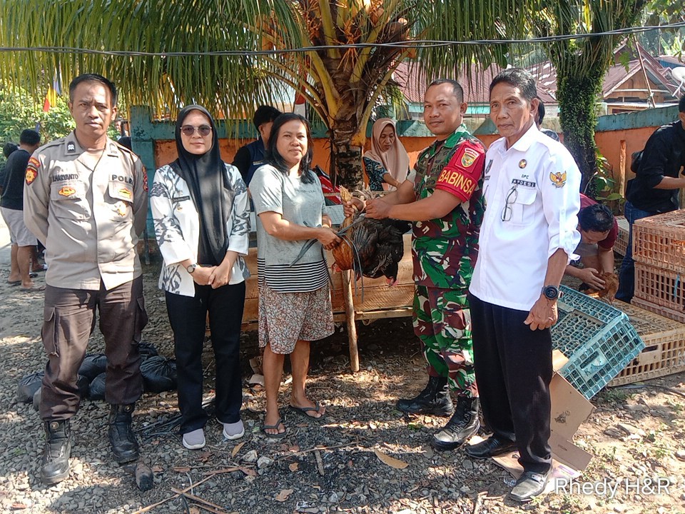 Pembagian bibit ayam program ketahanan pangan desa lubuk lesung tahun anggaran 2024 