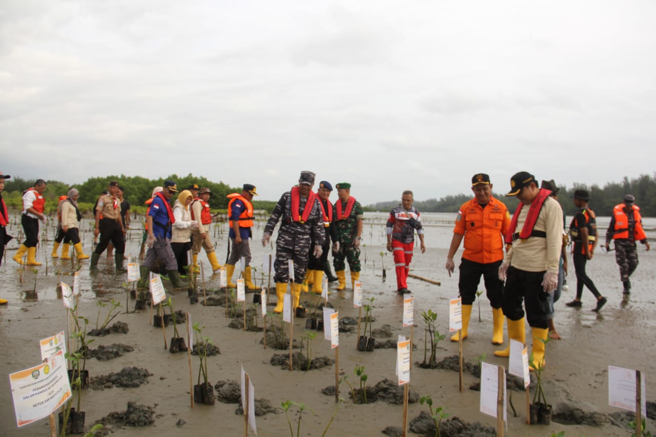 Penanaman Pohon Mangrove Pesisir Pantai Bengkulu di Sekitar Kawasan Jenggalu Kito Kota Bengkulu, Senin (27/2).