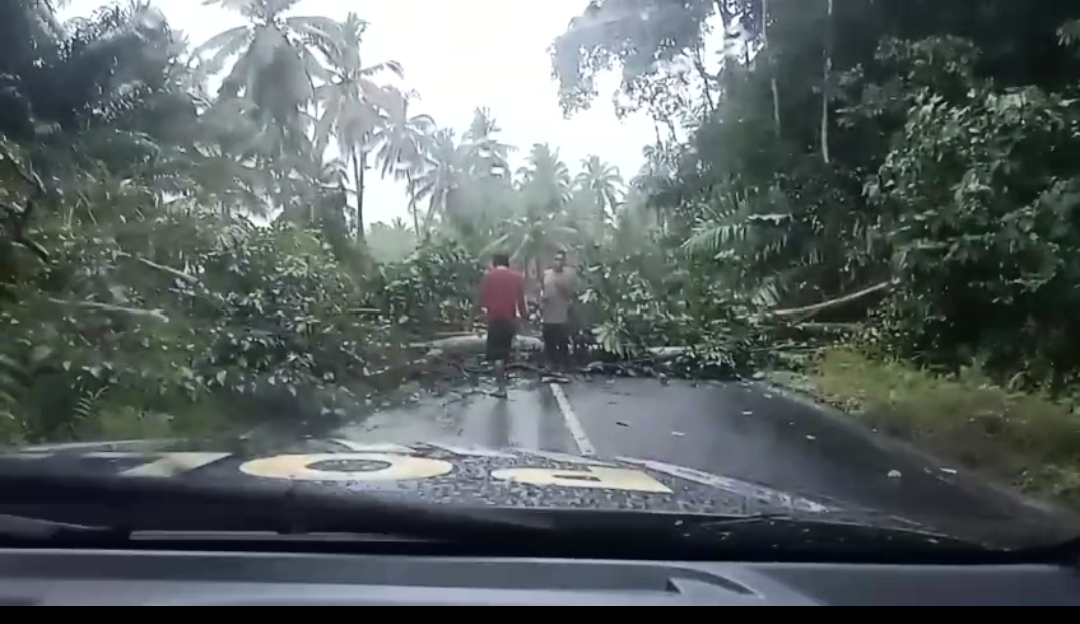 Rabu,(21/02) salah satu jalan di kaur putus akibat pohon tumbang