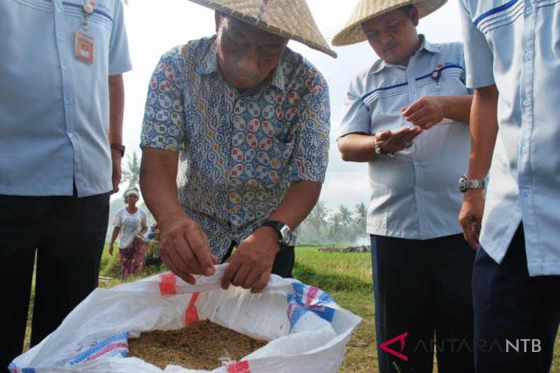 saat bersama petani sujono dan kawan kawan
