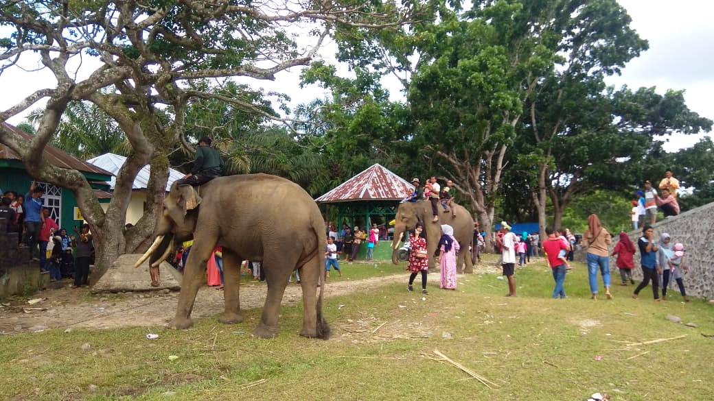 Taman Wisata Seblat Gajah