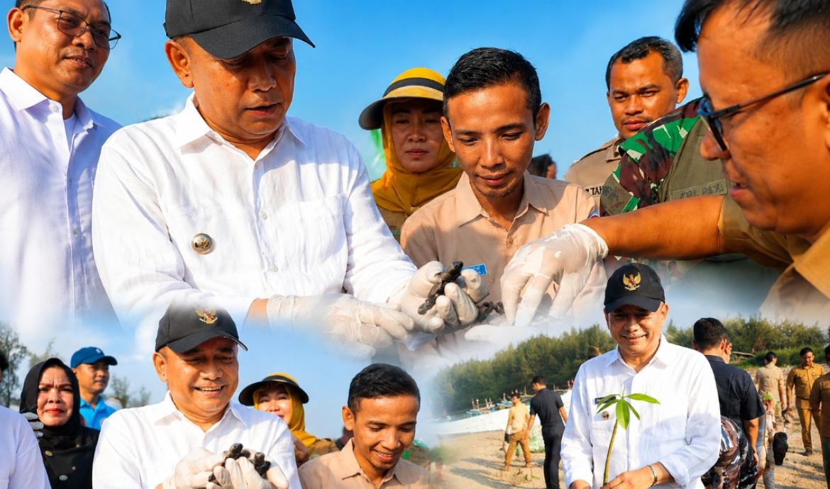 Pemkab Bengkulu Tengah peringati Hari Mangrove Sedunia ke-11 di Balai Konservasi Penyu Alun Utara, Desa Pekik Nyaring, Kecamatan Pondok Kelapa, Selasa (28/7/2026).