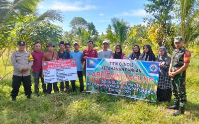 Pemerintah Desa Suka Menanti melakukan penanaman jagung sebagai upaya meningkatkan ketahanan pangan nasional.