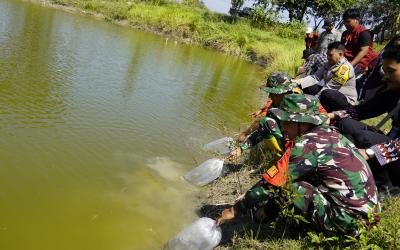 Satgas TMMD menggelar kegiatan penebaran 11 ribu benih ikan di embung desa sebagai langkah meningkatkan potensi perikanan sekaligus menjaga kelestarian ekosistem perairan, Kamis (16/7/2026).