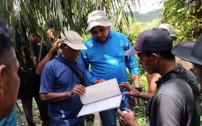 Tim dari Kantor Wilayah Agraria dan Tata Ruang/Badan Pertanahan Nasional (ATR/BPN) Provinsi Bengkulu akhirnya turun langsung melakukan pengukuran terhadap lahan yang masuk dalam wilayah Hak Guna Usaha (HGU) eks PT Bio Nusantara Teknologi (BIO) yang saat ini dikelola oleh PT Sandabi Indah Lestari (SIL), Kamis (4/6).