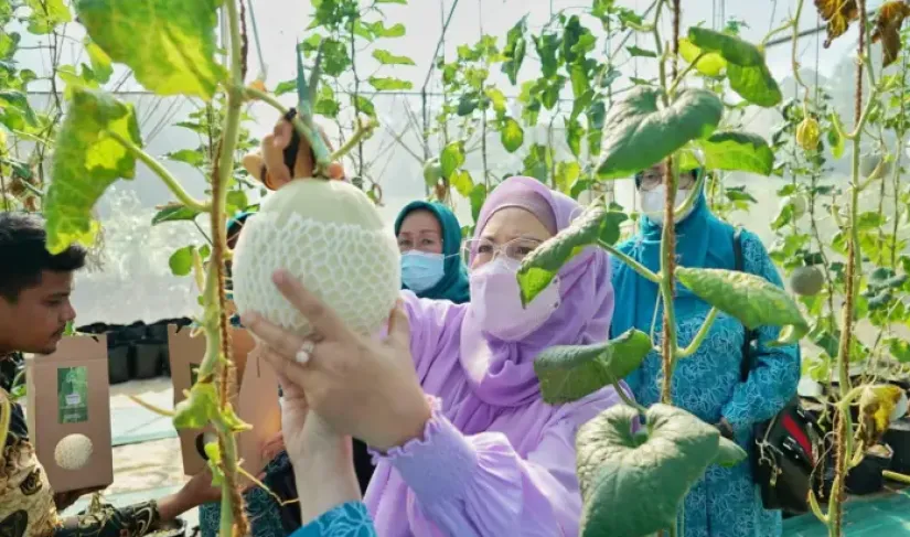 Dinas PMD Provinsi Bengkulu, TP PKK Provinsi Bengkulu