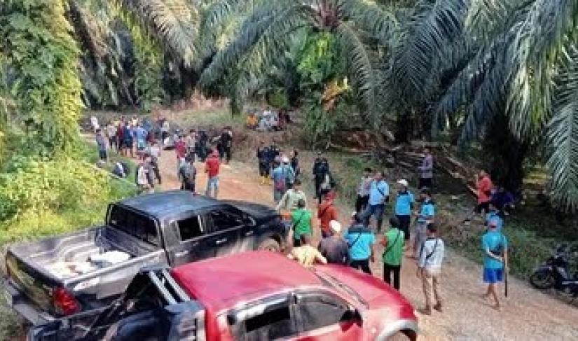Konflik PT DDP & Petani Mukomuko: Yayasan Kanopi Hijau Serukan Tanggung Jawab Pemegang Saham