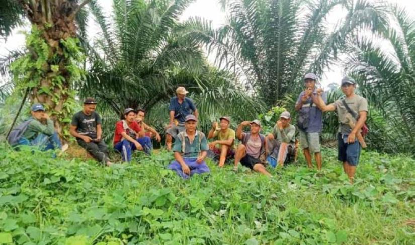 Aktivitas Ilegal PT ABS Timbulkan Konflik dengan Masyarakat Pino Raya.