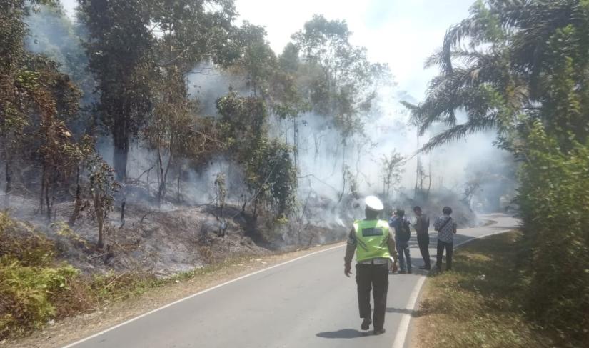 Karhutla di Bengkulu Tengah Mulai Marak, Lahan Dua Desa Terdampak