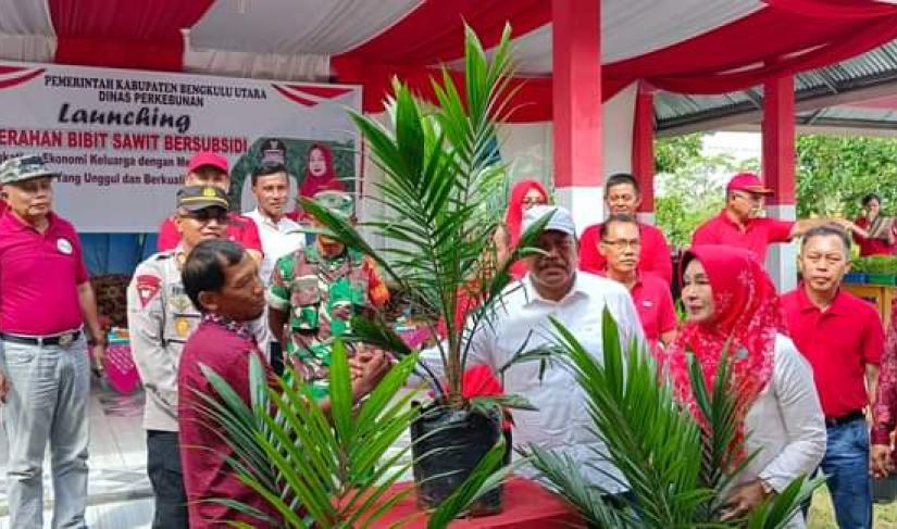 Bupati BU Ir mian saat membagikan bibit sawit kepada warga di kecamatan pinang raya 