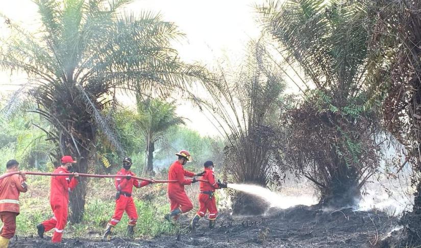 Dokumentasi penanganan Karhutla di Kota Bengkulu.