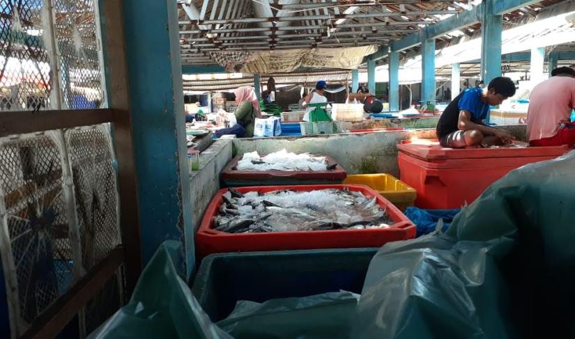 Hasil tangkapan ikan laut Bengkulu melimpah.