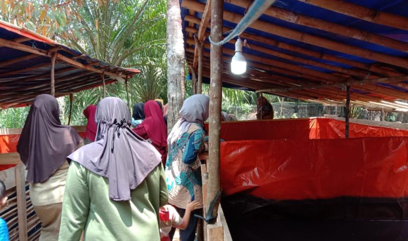 Kegiatan pembagian ikan lele hasil panen ketahanan desa datar macang