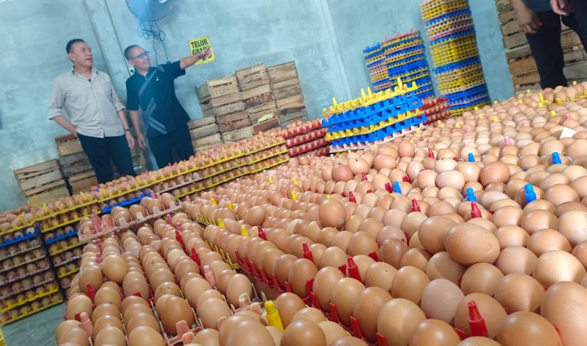 Gerak cepat Iwan Bule sambut program Prabowo Subianto 2024 untuk tekan angka stunting