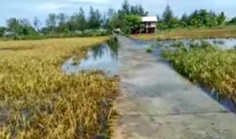 Tampak Banjir ROB di Kecamatan Bunga Mas Foto/Dok Emc