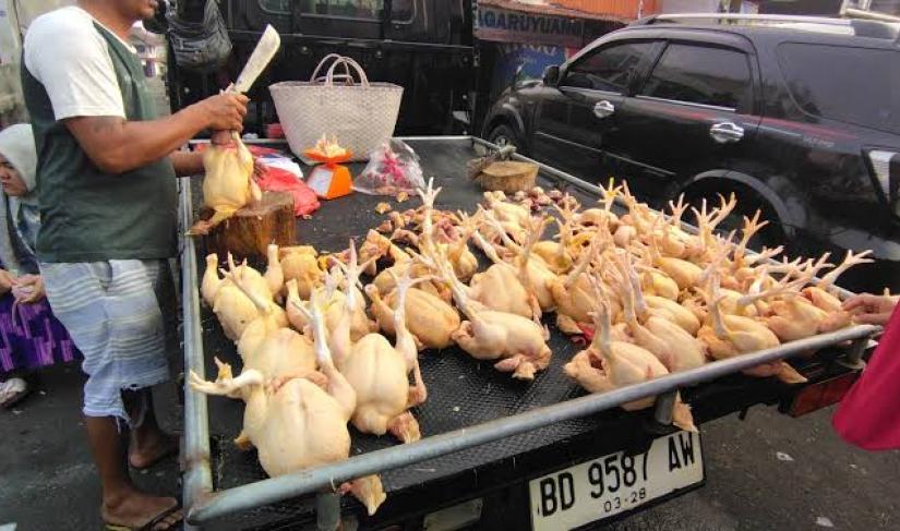 Aktivitas penjual daging ayam di Kota Bengkulu.
