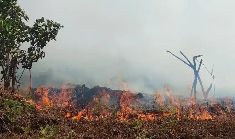 Karhutla di kawasan UINFAS Bengkulu.
