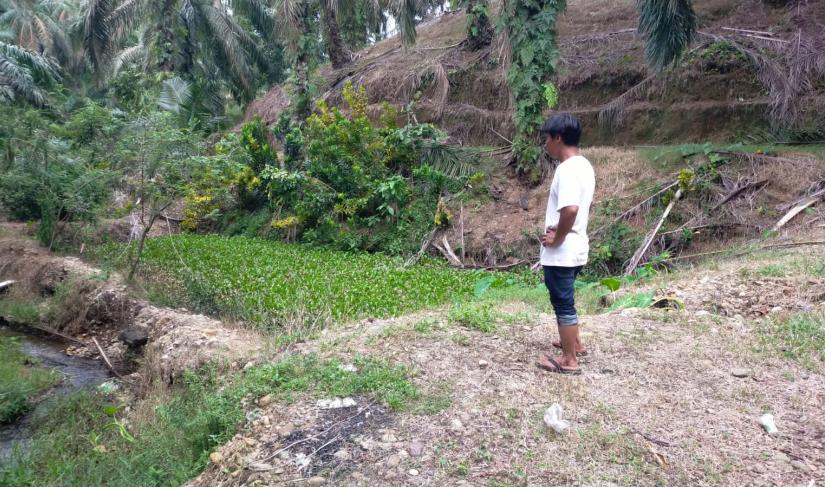 Waduh!! Program Ketahanan Pangan 2022 Desa Sumber Sari Tanpa Adanya PK Foto/Dok:
