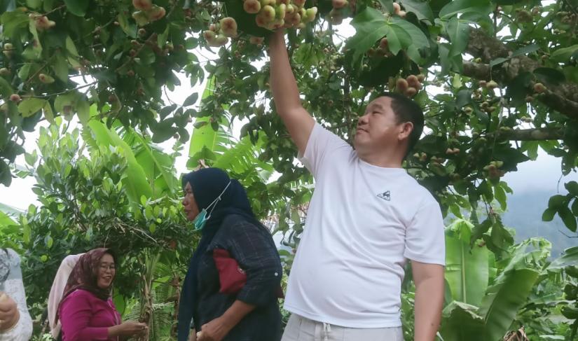 Paslon 03 di ajak masyarakat keliling sembari menikmati jambu air Minggu (06/10/2024)