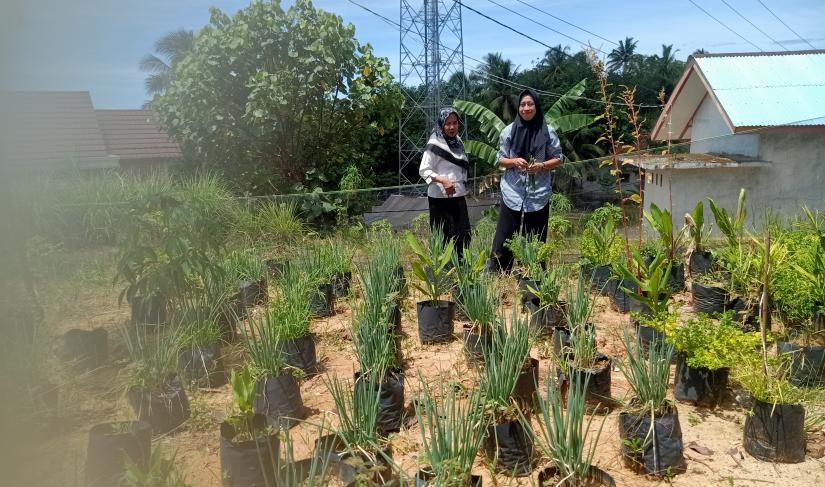 Pemanfaatan lahan kosong oleh pemdes Bukit Indah (20/03)