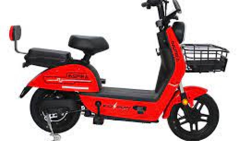 Sepeda Listrik (Foto/Ist/TS)