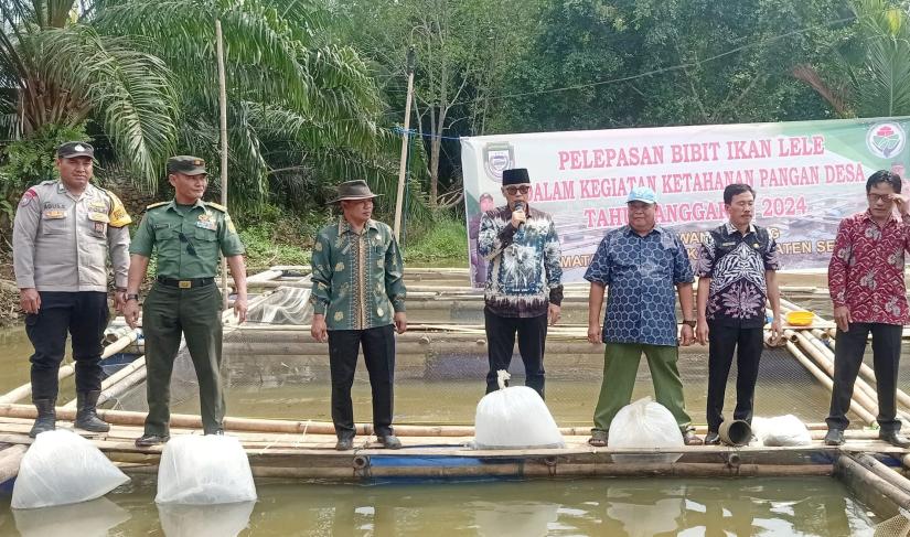 Asisten Perekonomian dan Pembangunan Setda Kabupaten Seluma, Almedian Saleh, melepas bibit ikan lele di keramba apung Desa Lawang Agung, Kecamatan Air Periukan, Kamis (1/8/2024).