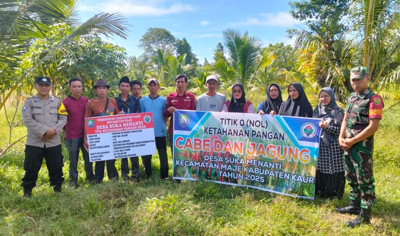 Pemerintah Desa Suka Menanti melakukan penanaman jagung sebagai upaya meningkatkan ketahanan pangan nasional.