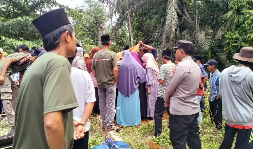 Balita di Seluma Tertimpah Tandan Sawit