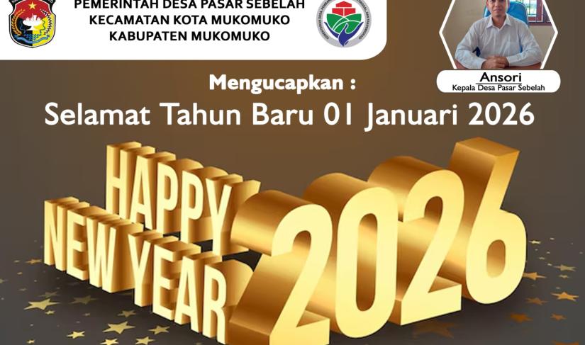 Kepala Desa Pasar Sebelah, Ansori