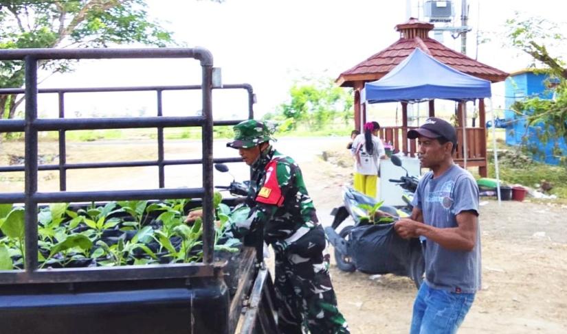 Babinsa Desa Kesongo, Serka Lasmidi, membantu menyalurkan 750 bibit sayuran dari DKPP Kabupaten Bojonegoro kepada warga dalam rangka penguatan ketahanan pangan melalui program TMMD ke-129 Kodim 0813/Bojonegoro, Desa Kesongo, Kecamatan Kedungadem, Kamis (6/8/2026). Foto: Deni Ari Pandi/Sumber TMMD Bojonegoro.