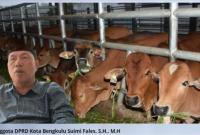 Suimi Fales Dewan Provinsi Bengkulu