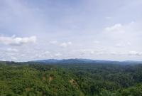 Tutupan hutan alam Bengkulu menyusut ratusan ribu hektare dalam dua dekade terakhir.