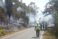Karhutla di Bengkulu Tengah Mulai Marak, Lahan Dua Desa Terdampak