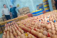 Gerak cepat Iwan Bule sambut program Prabowo Subianto 2024 untuk tekan angka stunting