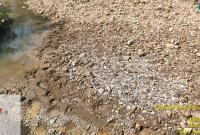 Garam di lereng Gunung kreweng, masih wilayah pegunungan Kendeng Utara yang masuk wilayah Desa Bangle, Kecamatan Lengkong, Jumat (2/6/2023).