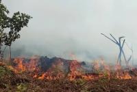 Karhutla di kawasan UINFAS Bengkulu.