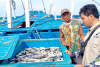 Petugas BPOM memeriksa kualitas hasil perikanan di Bengkulu. (foto: Fatmala/Penarafflesia.com).