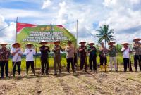 Ketua DPRD Kepahiang hadir dalam Penanaman Jagung Serentak di Desa Suro Lembak, langkah nyata dukung ketahanan pangan dan kemandirian desa.