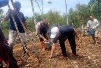 Penanaman jagung bersama  kades, dan BPD sinar Mulya, Selasa (9/9/2025).