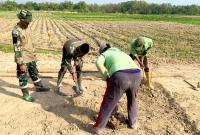 Satgas TMMD ke-129 Kodim 0813 Bojonegoro bersama warga bergotong royong membangun pondasi lapak PKL di kawasan rest area Desa Kesongo, Kecamatan Kedungadem, Kabupaten Bojonegoro.